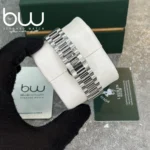 خرید ساعت مچی مردانه پولو رالف لارن مدل POLO RALPH LAUREN GLUB-RA-8045 از گالری ساعت برنارد واچ